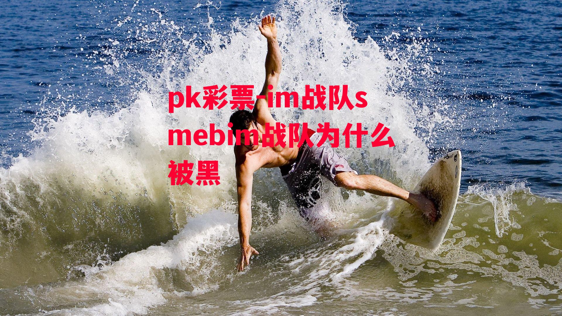 im战队smebim战队为什么被黑